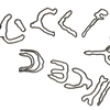 inscription of siglum ASFF 19