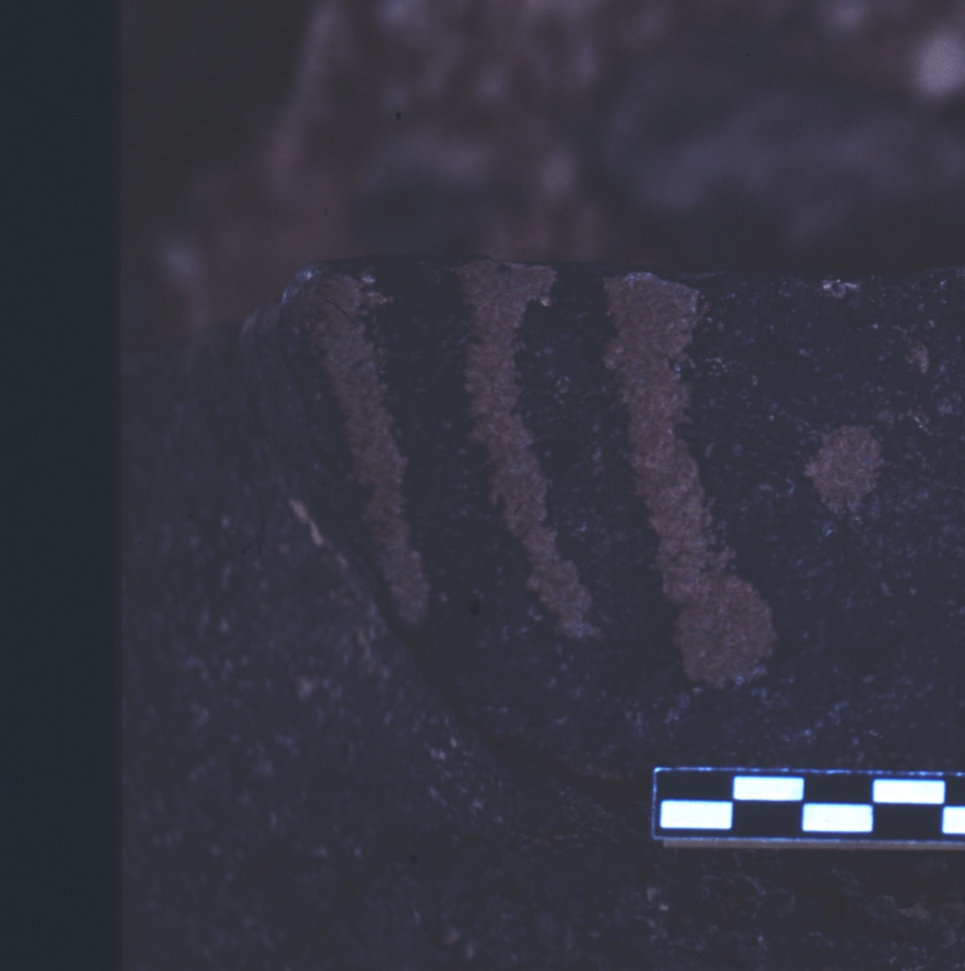 inscription of siglum ASFF 22