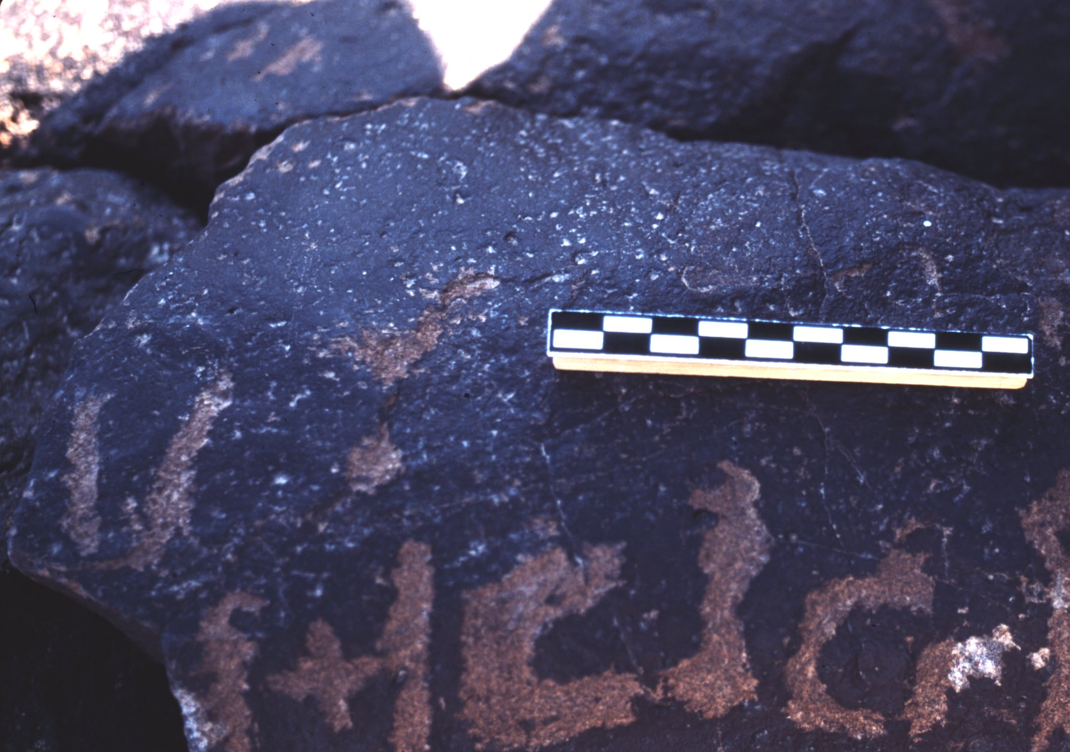 inscription of siglum ASFF 24