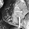 inscription of siglum ASFF 25