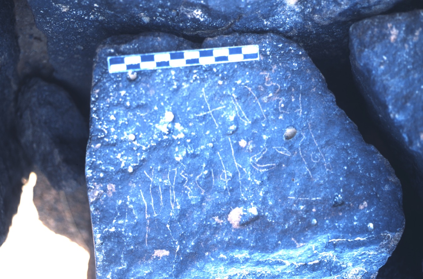 inscription of siglum ASFF 255