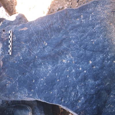 inscription of siglum ASFF 271