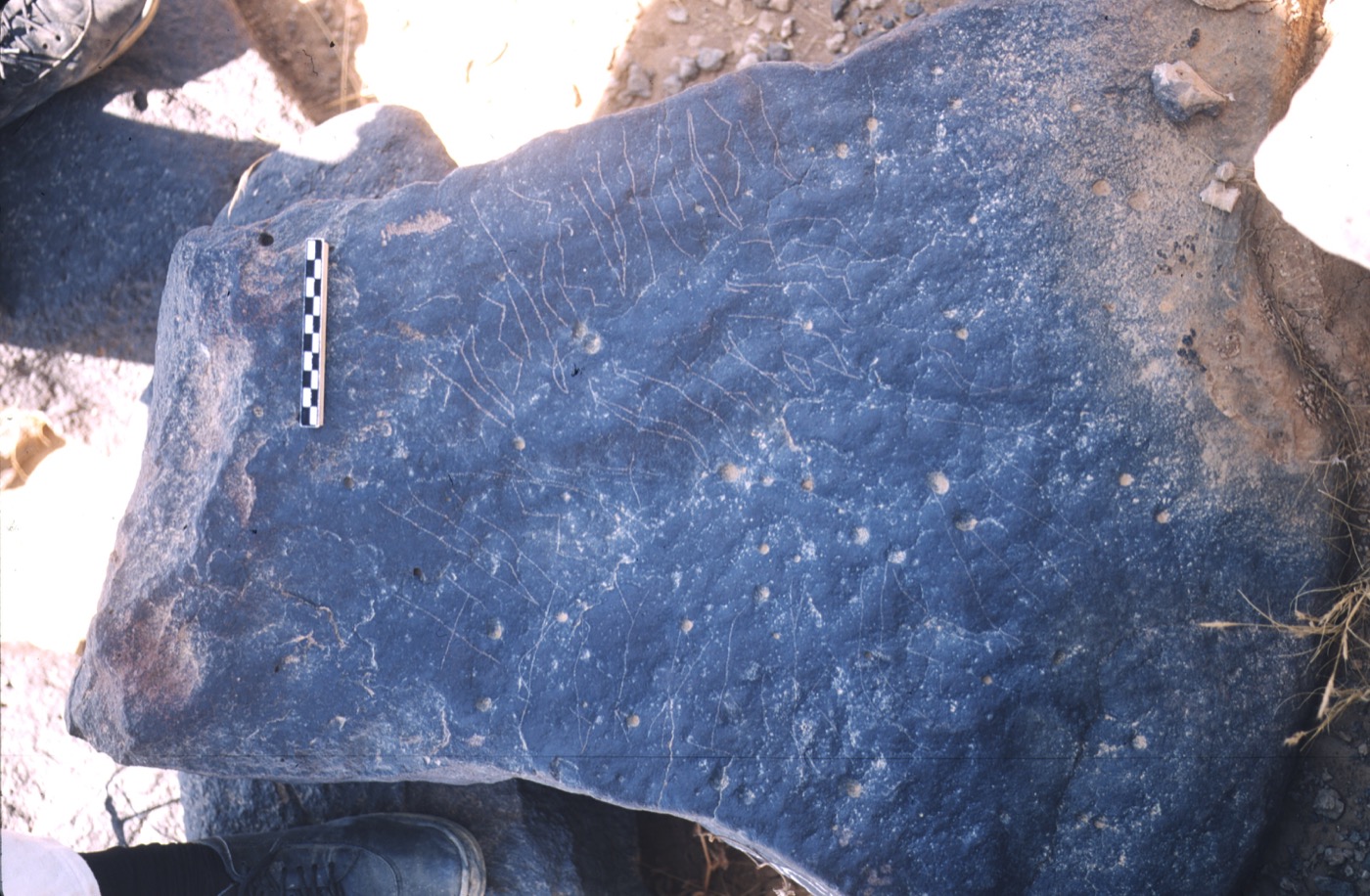 inscription of siglum ASFF 271