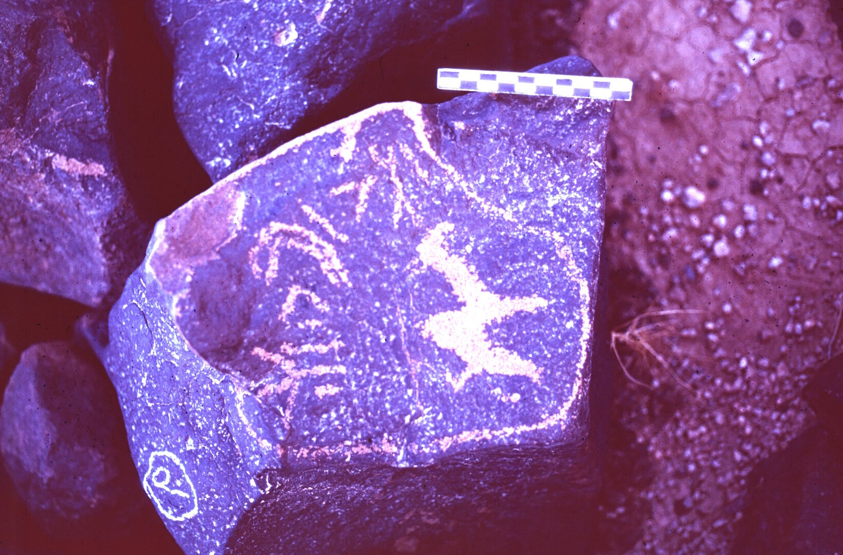 inscription of siglum ASFF 30