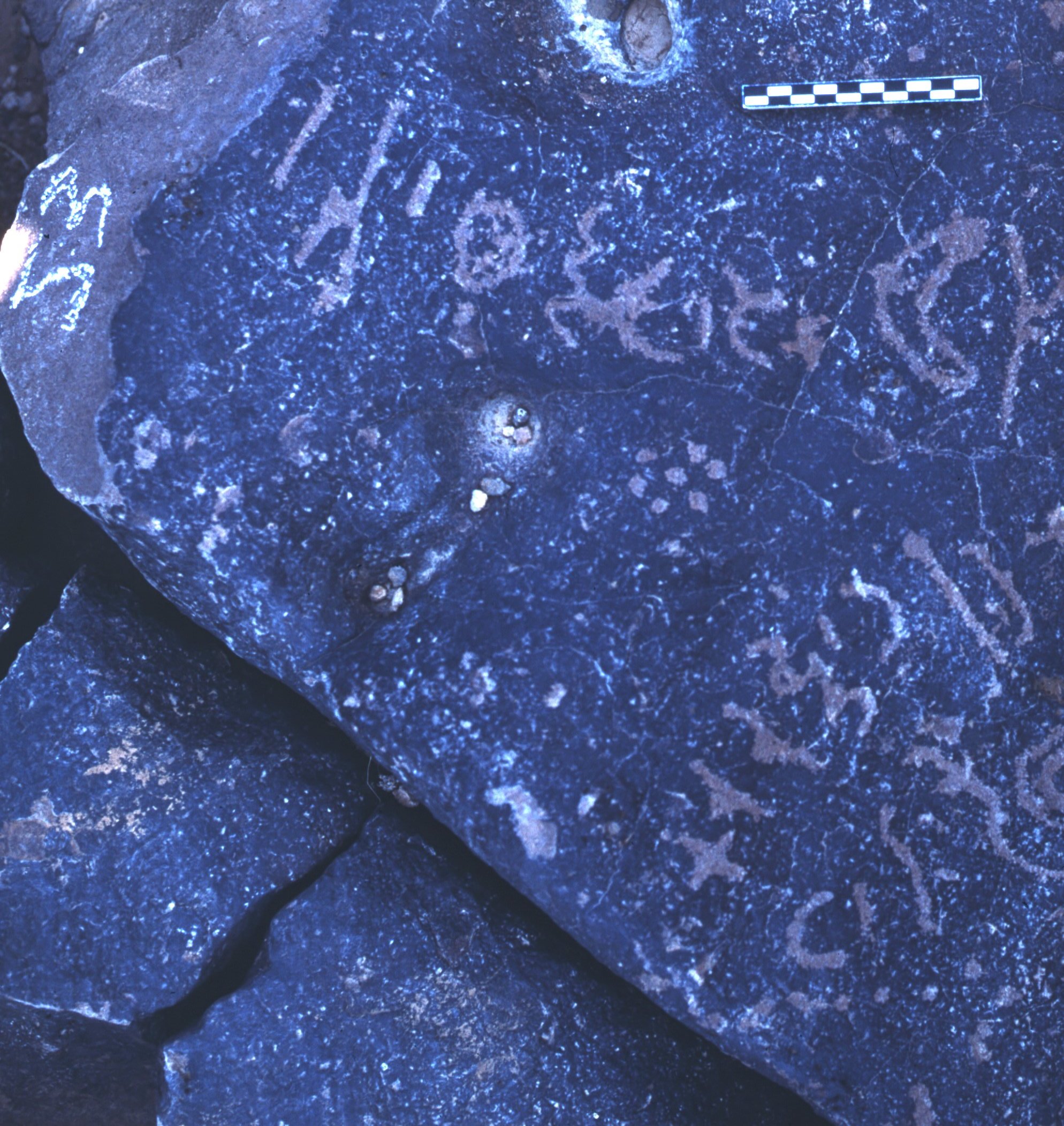 inscription of siglum ASFF 47