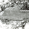 inscription of siglum ASFF 6