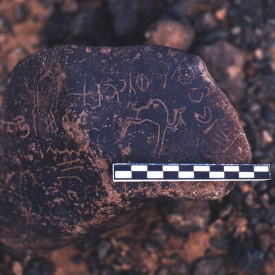 inscription of siglum ASFF 8