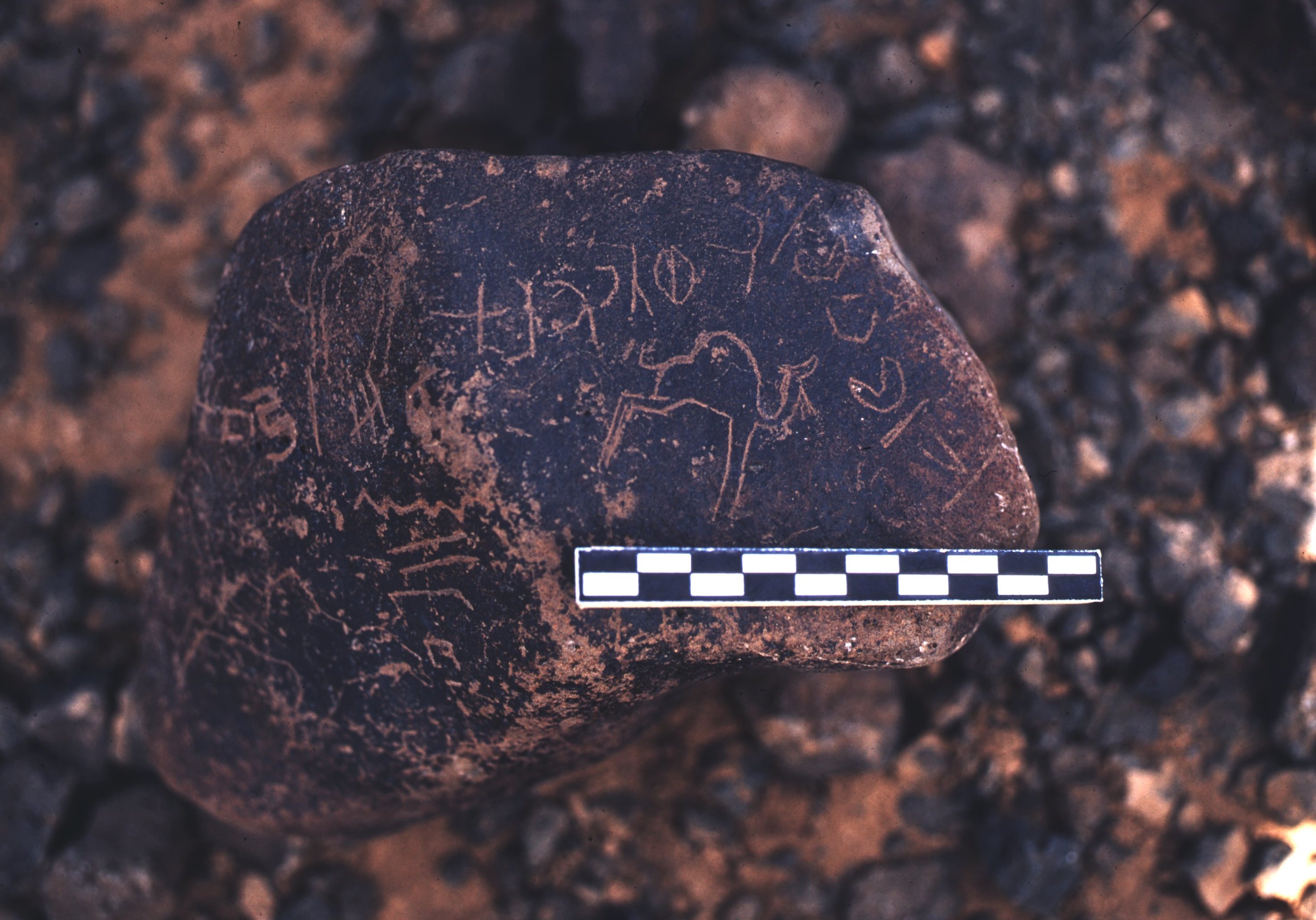 inscription of siglum ASFF 8