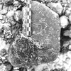 inscription of siglum ASFF 8