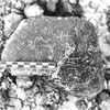 inscription of siglum ASFF 8
