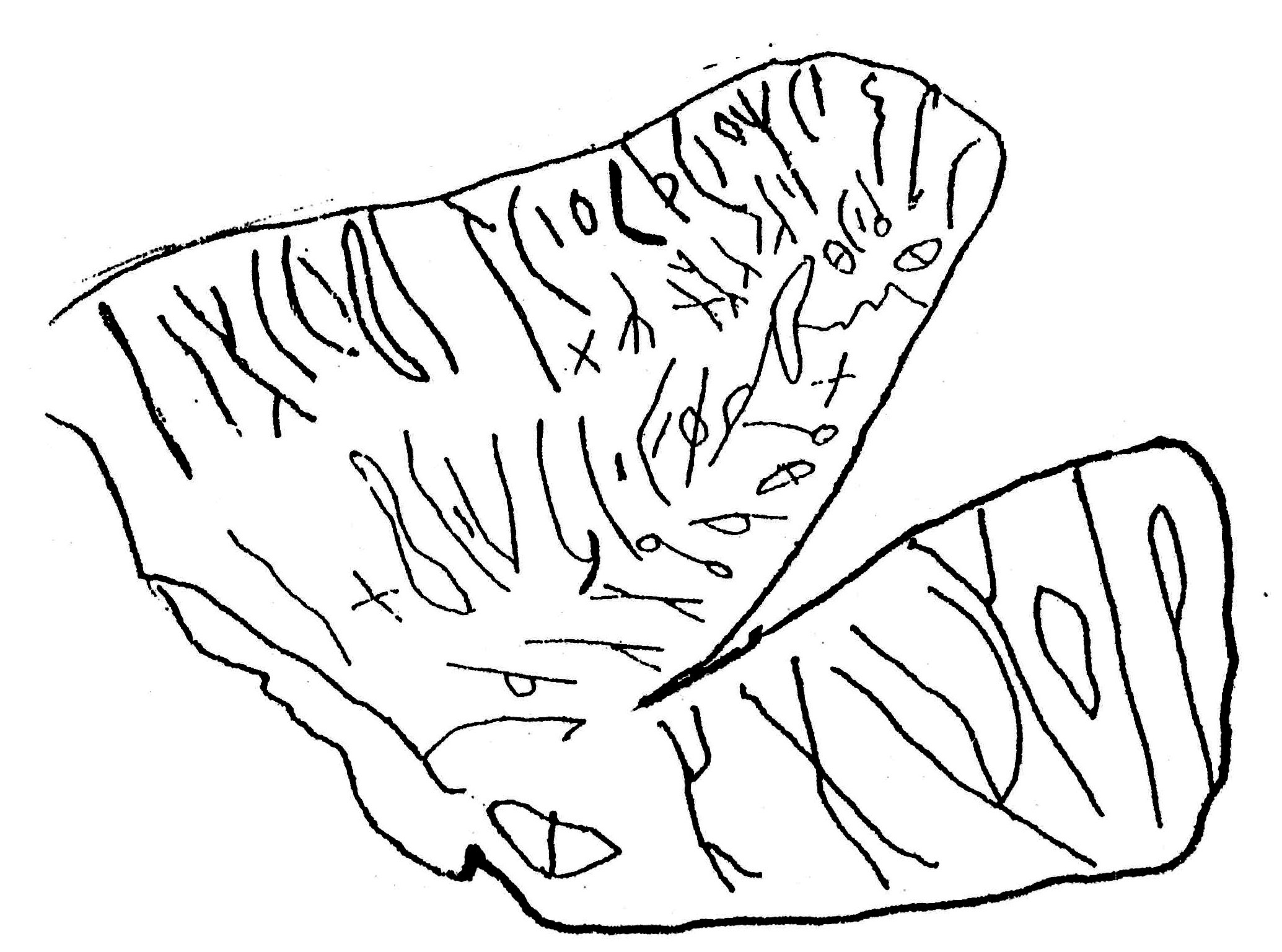 inscription of siglum ASWS 135