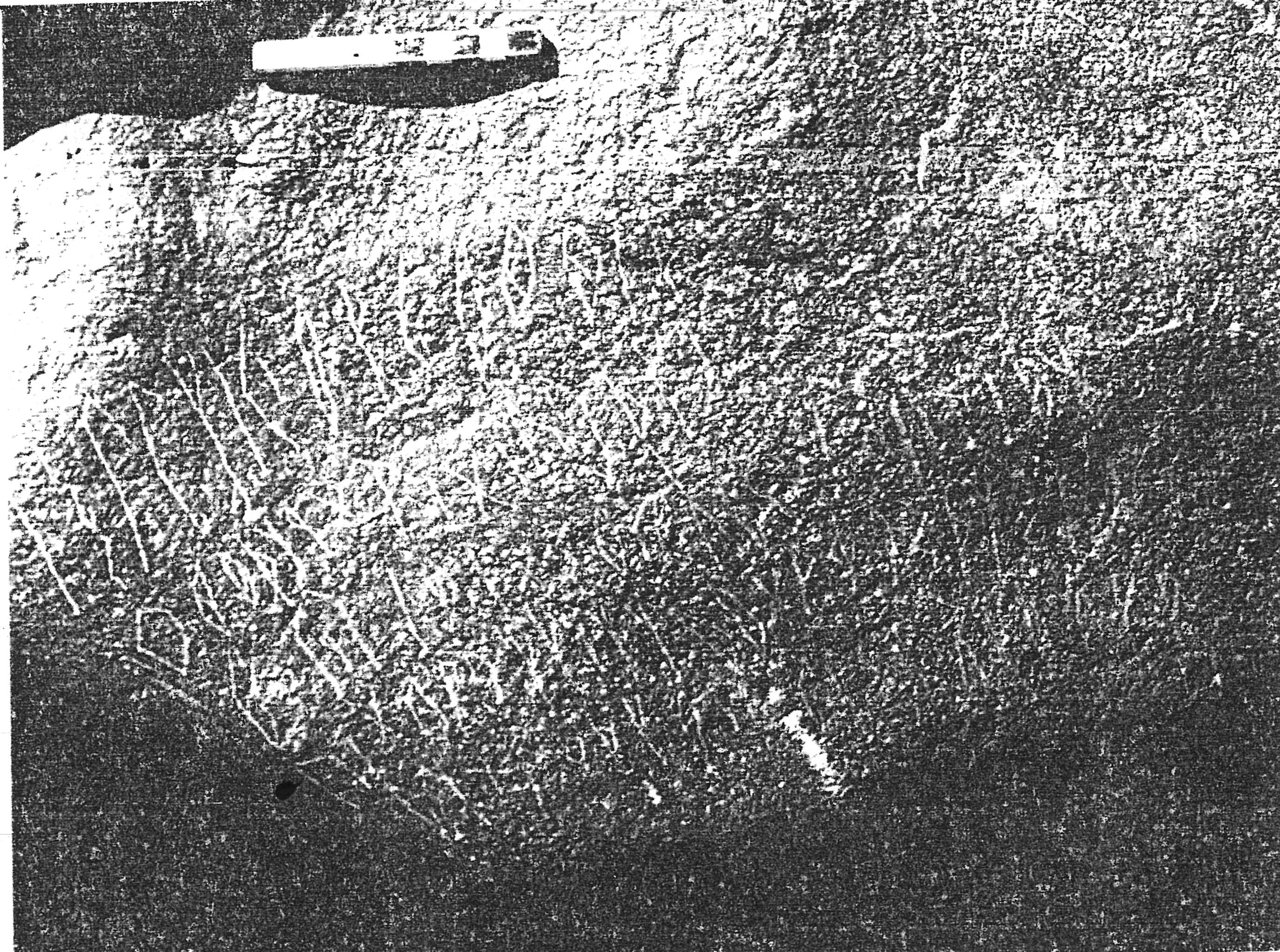 inscription of siglum ASWS 186