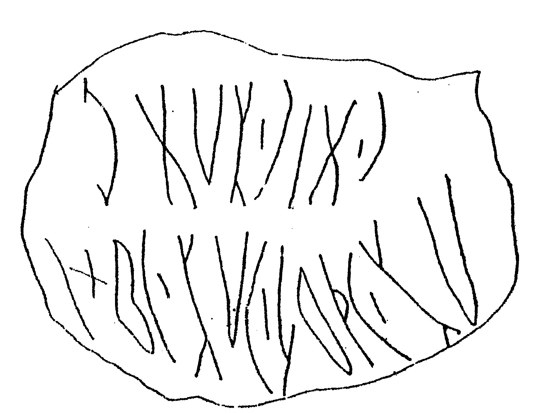 inscription of siglum ASWS 200