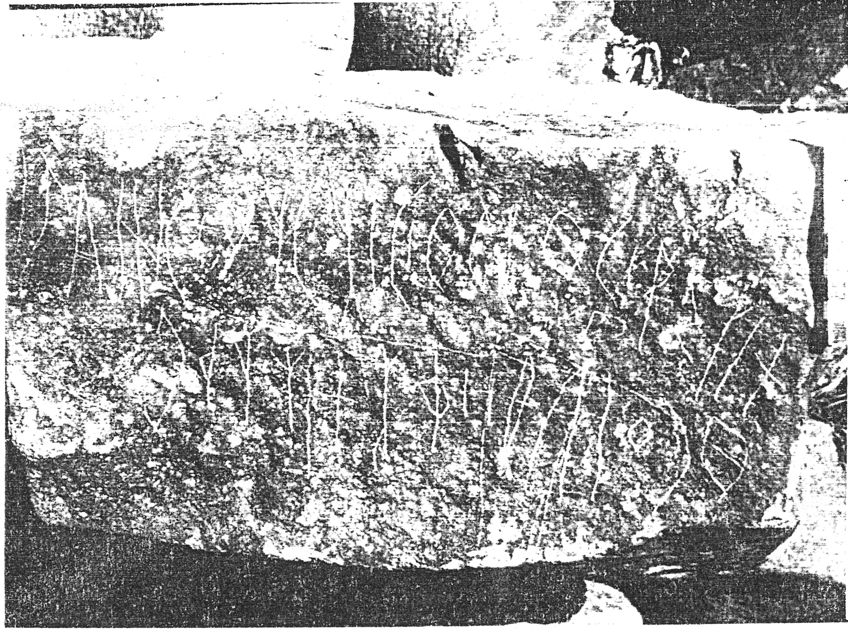 inscription of siglum ASWS 214