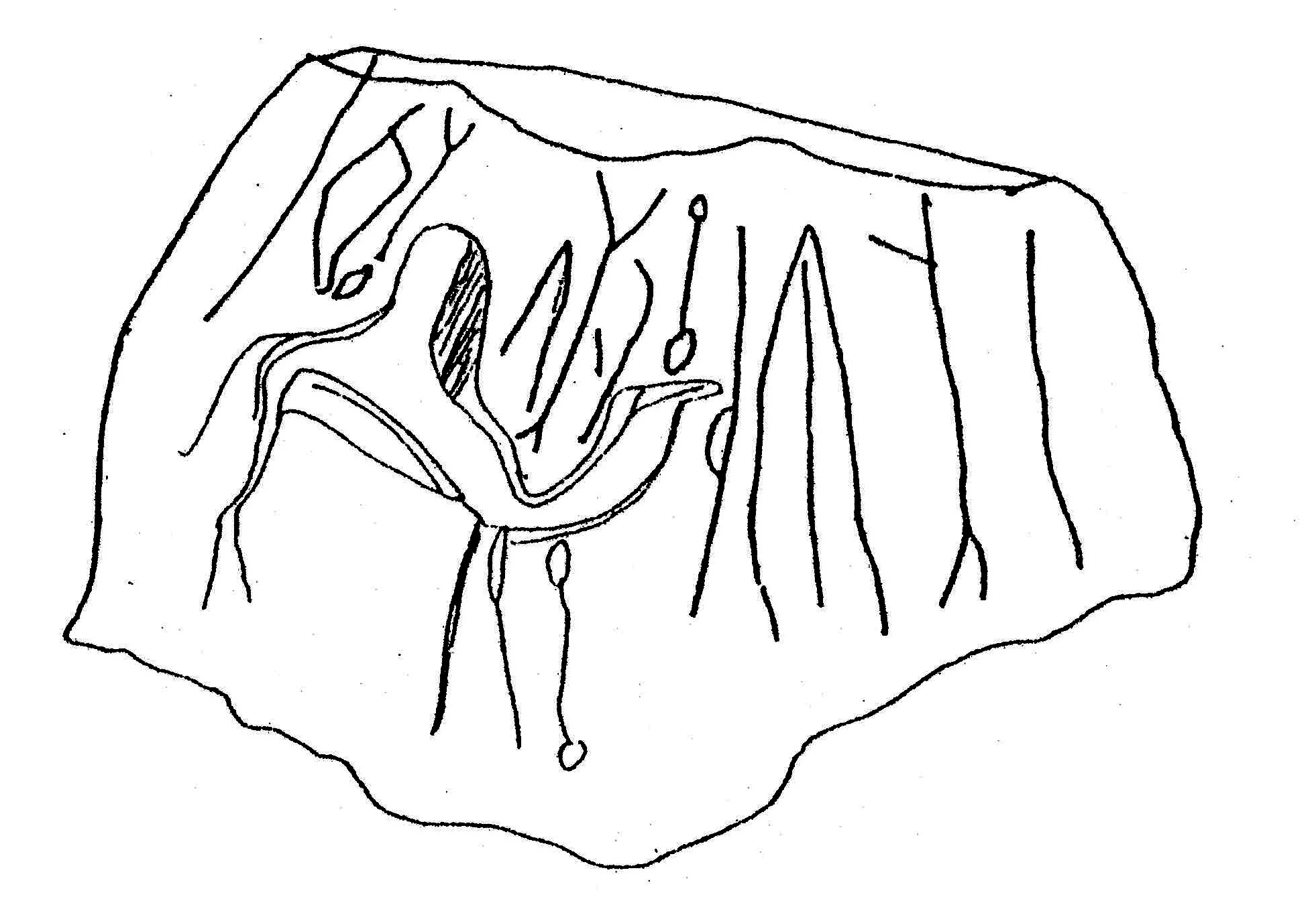 inscription of siglum ASWS 26