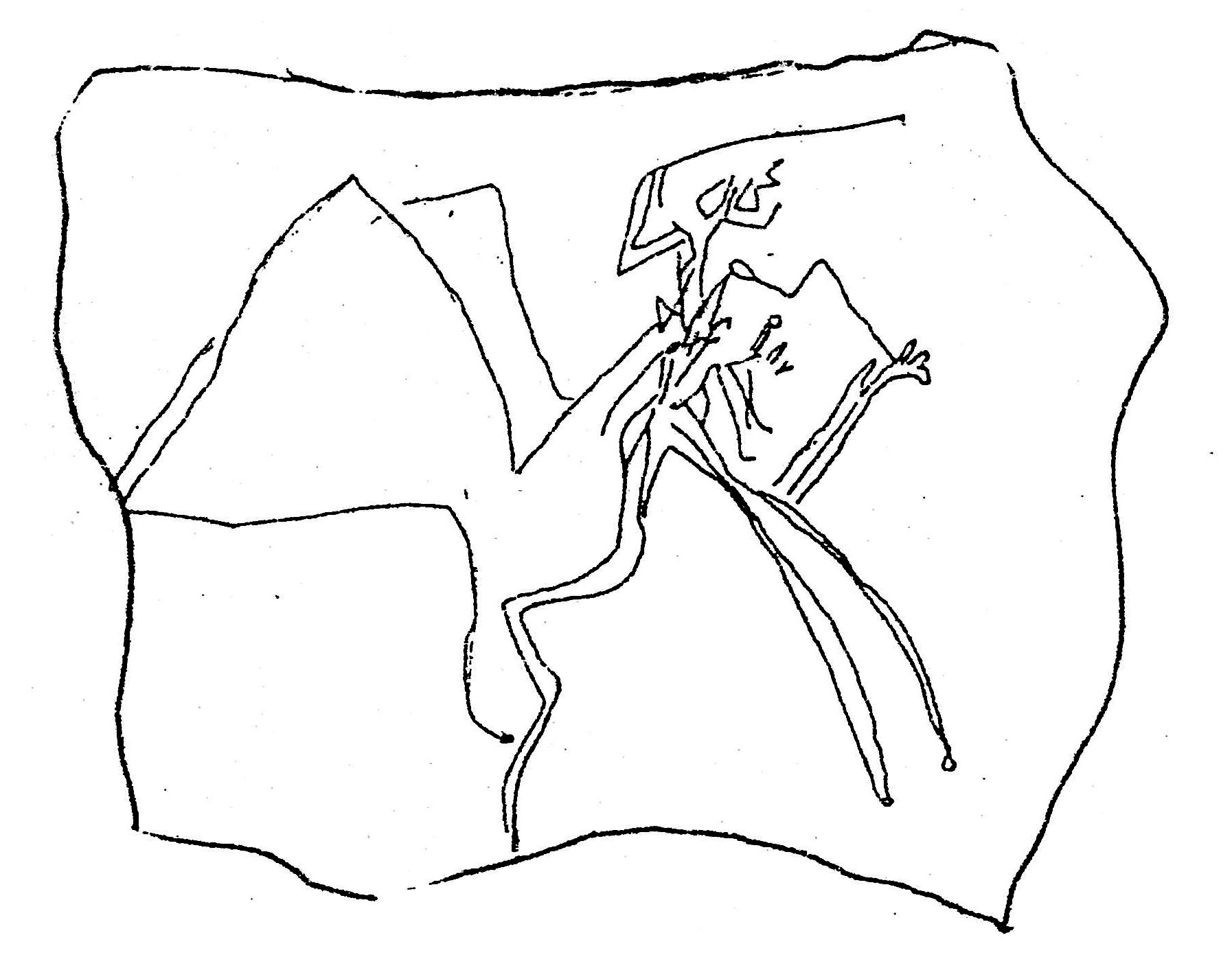 inscription of siglum ASWS 366