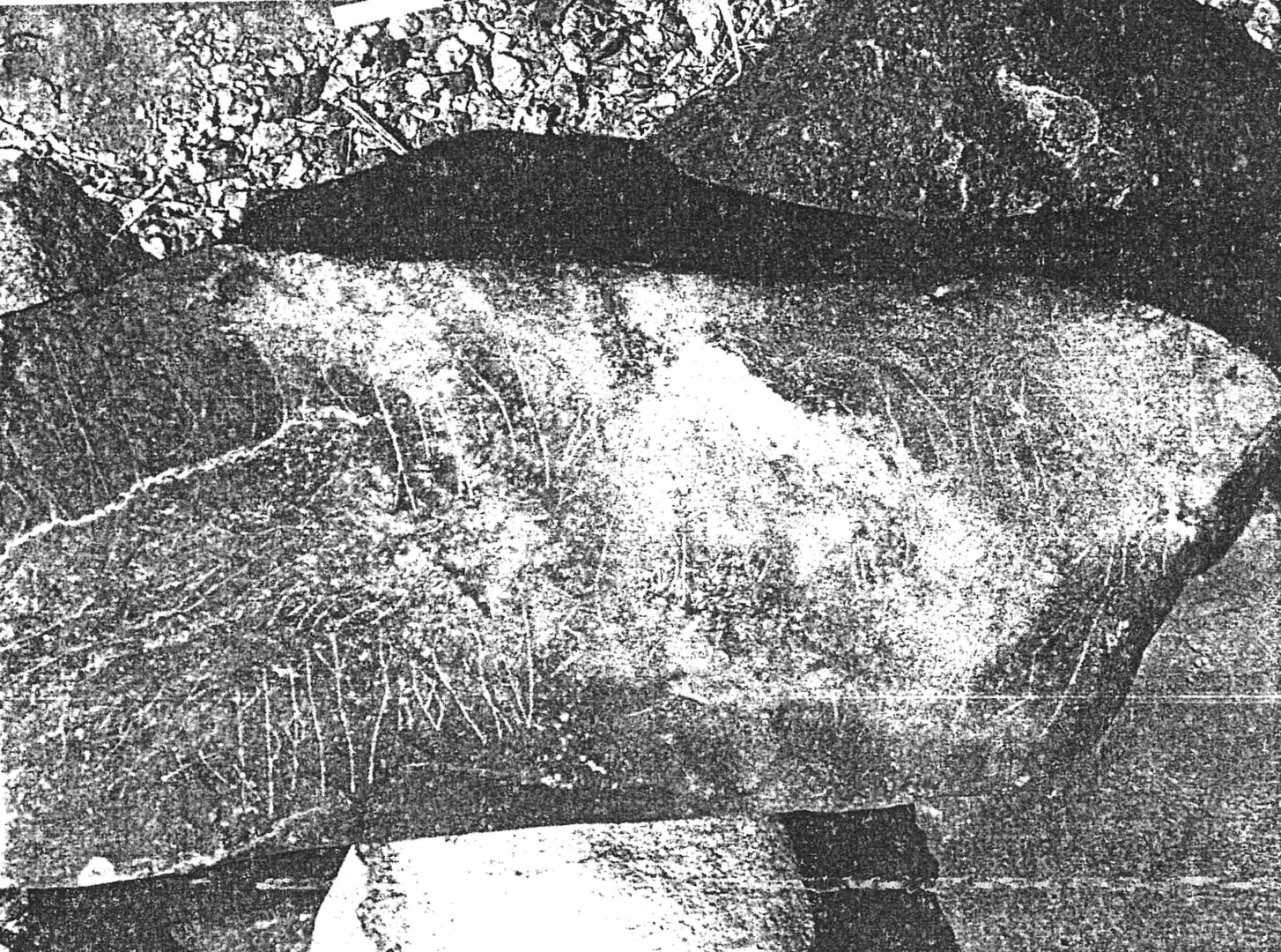 inscription of siglum ASWS 61