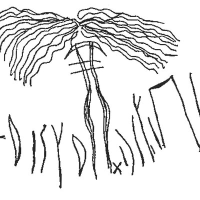 inscription of siglum AWS 147