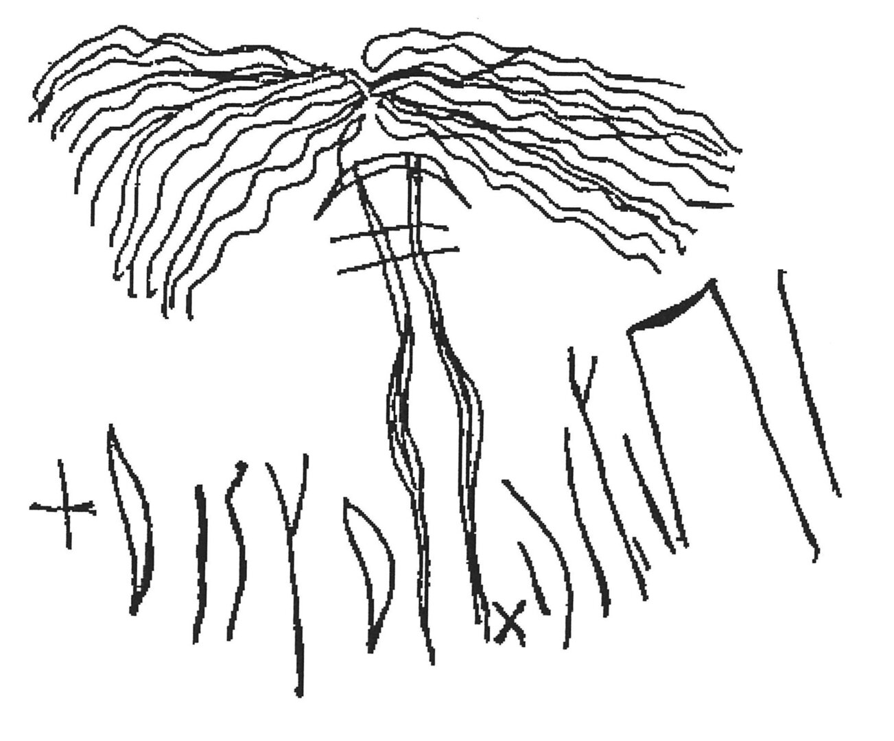 inscription of siglum AWS 147