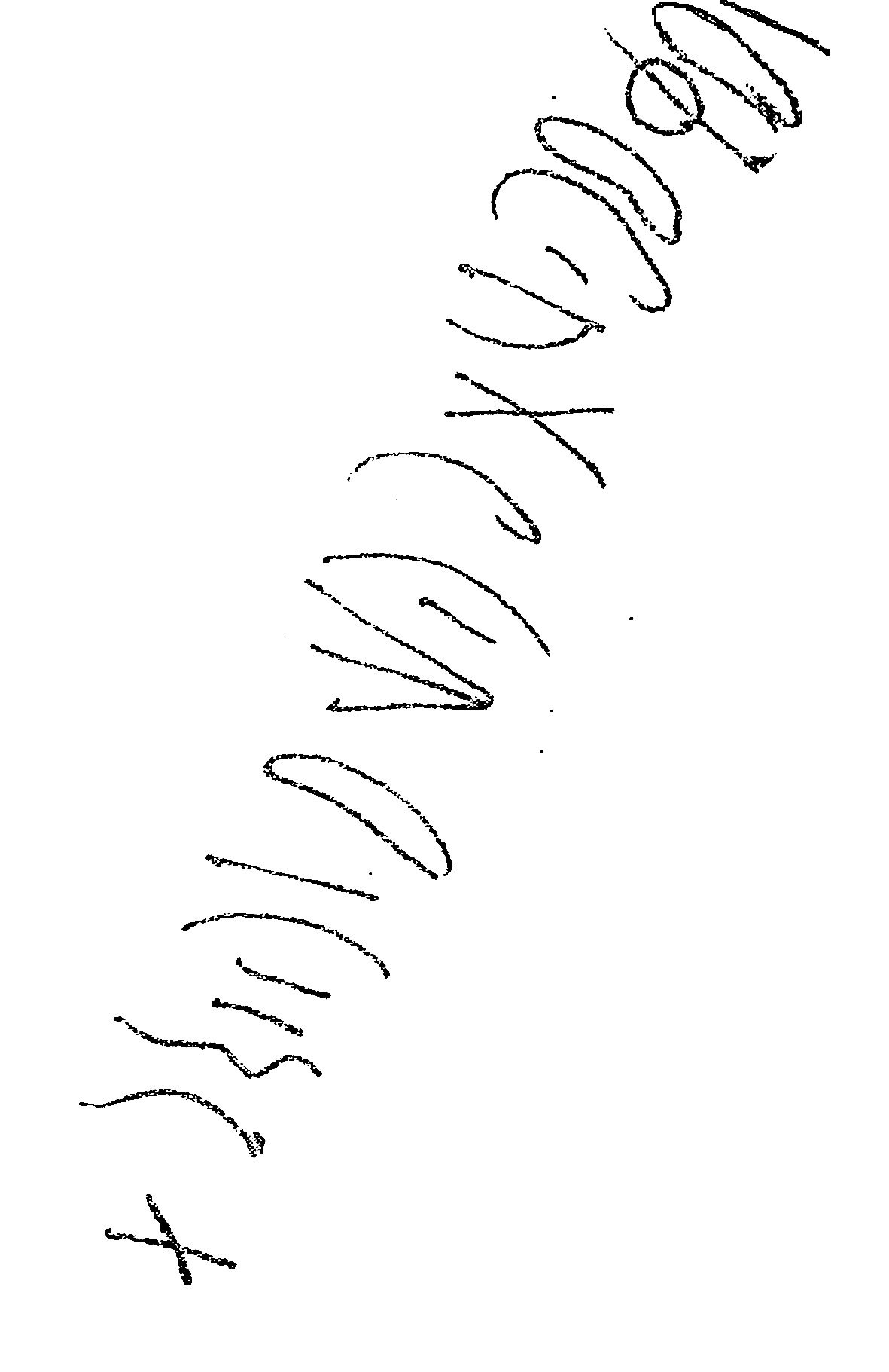 inscription of siglum AWS 276