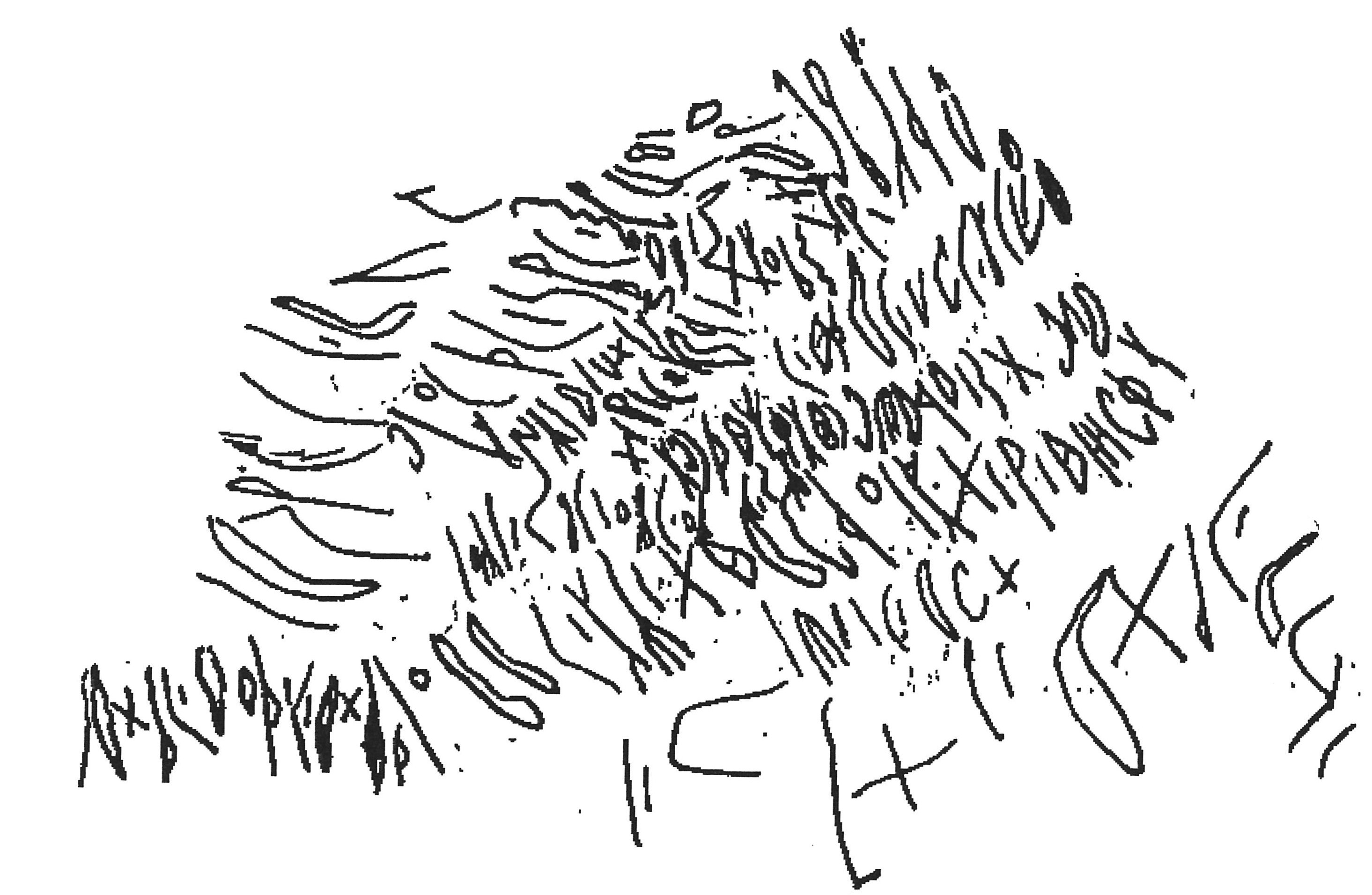 inscription of siglum AWS 351