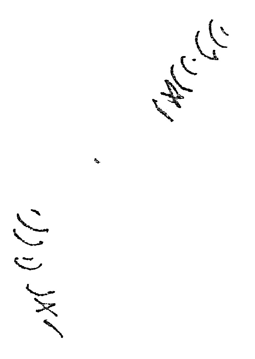 inscription of siglum AWS 392