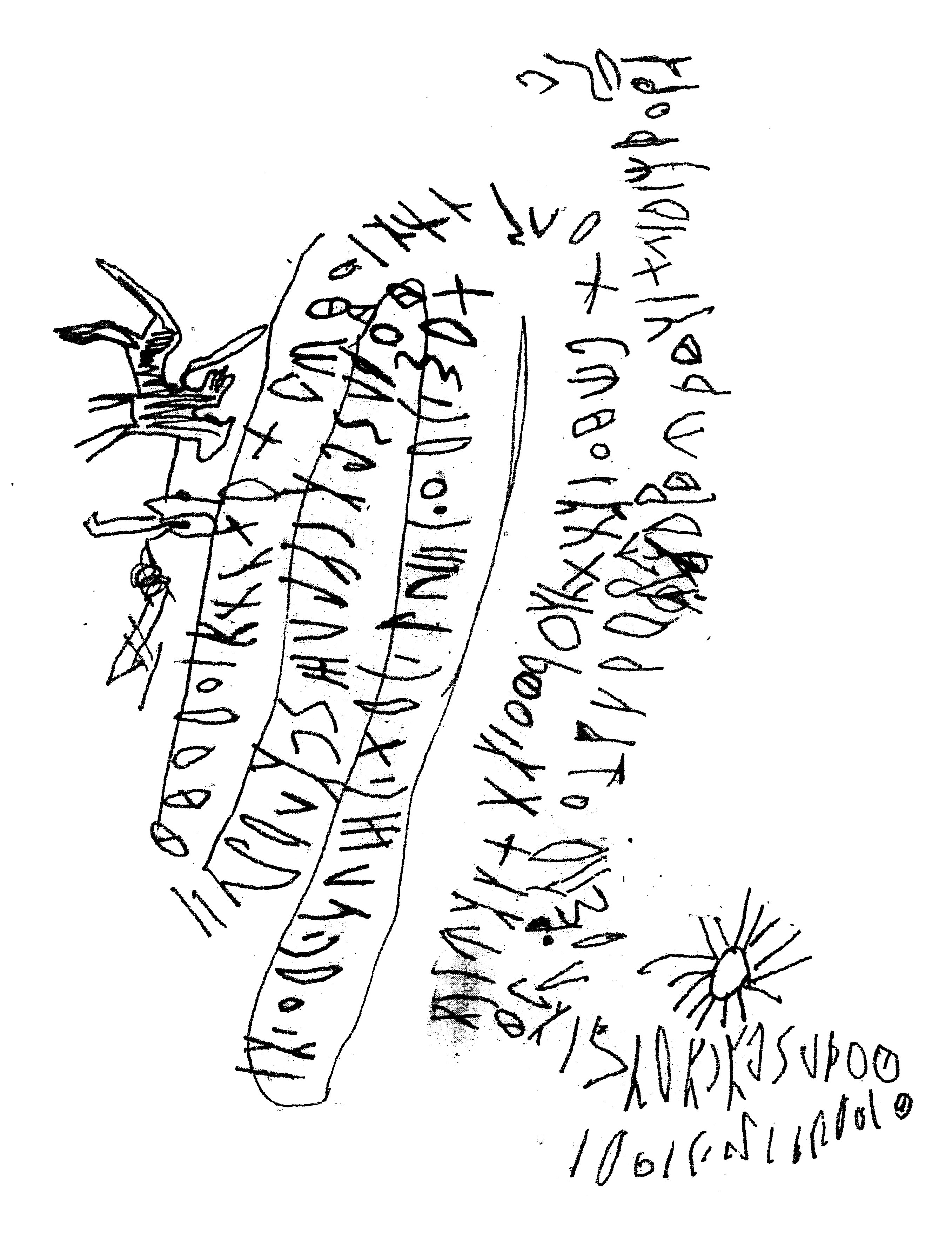 inscription of siglum AWS 394