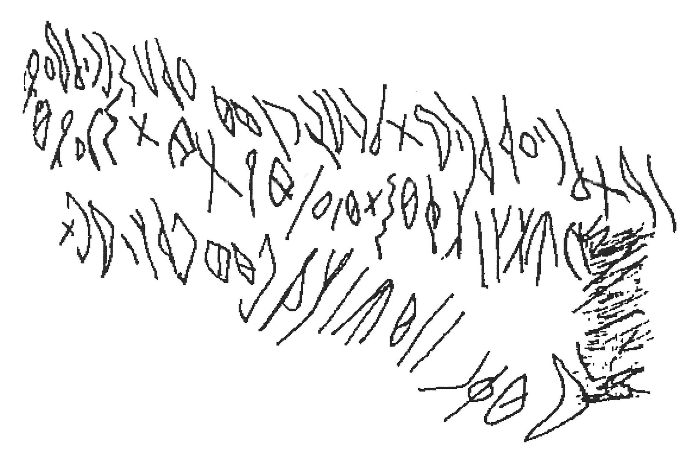 inscription of siglum AWS 48