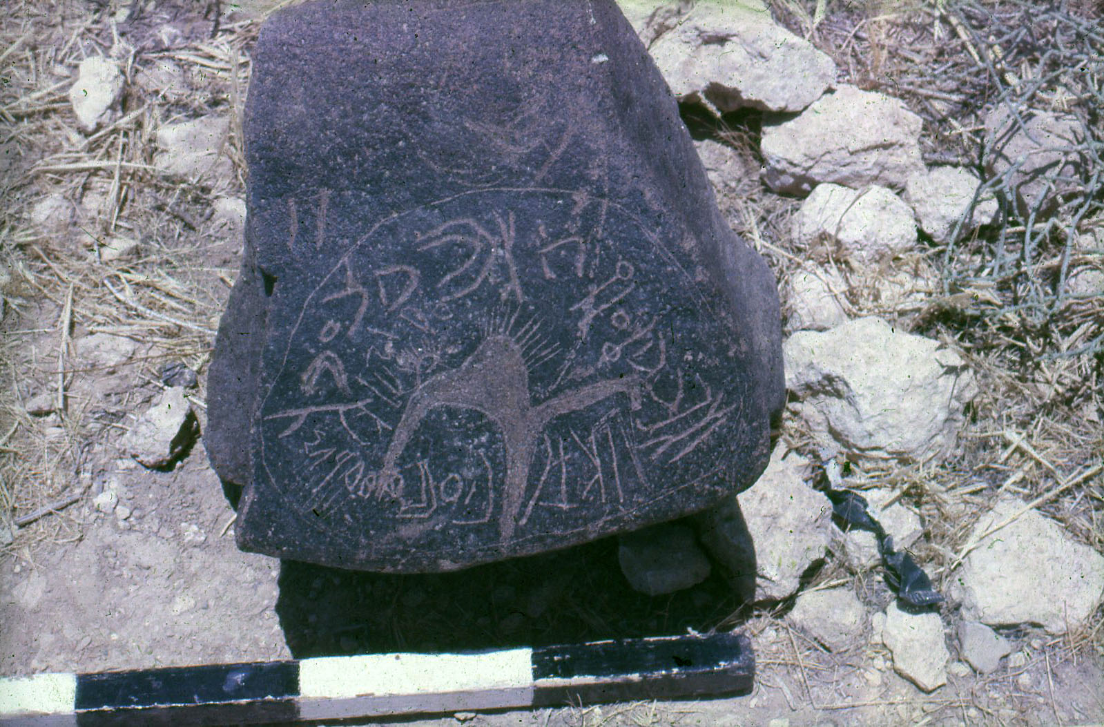 inscription of siglum AbSWS 37