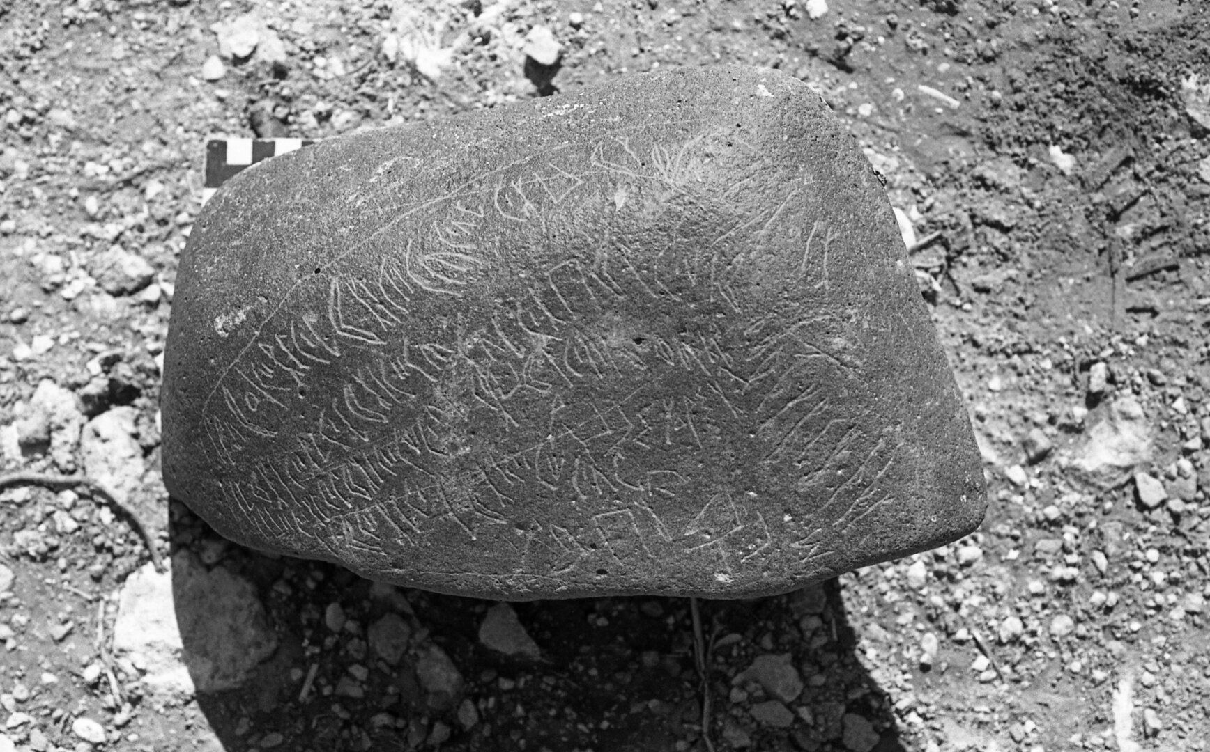 inscription of siglum AbSWS 56