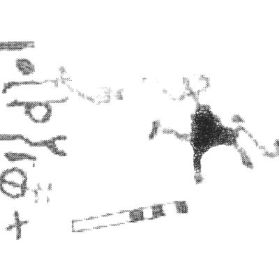 inscription of siglum AbaNS 165