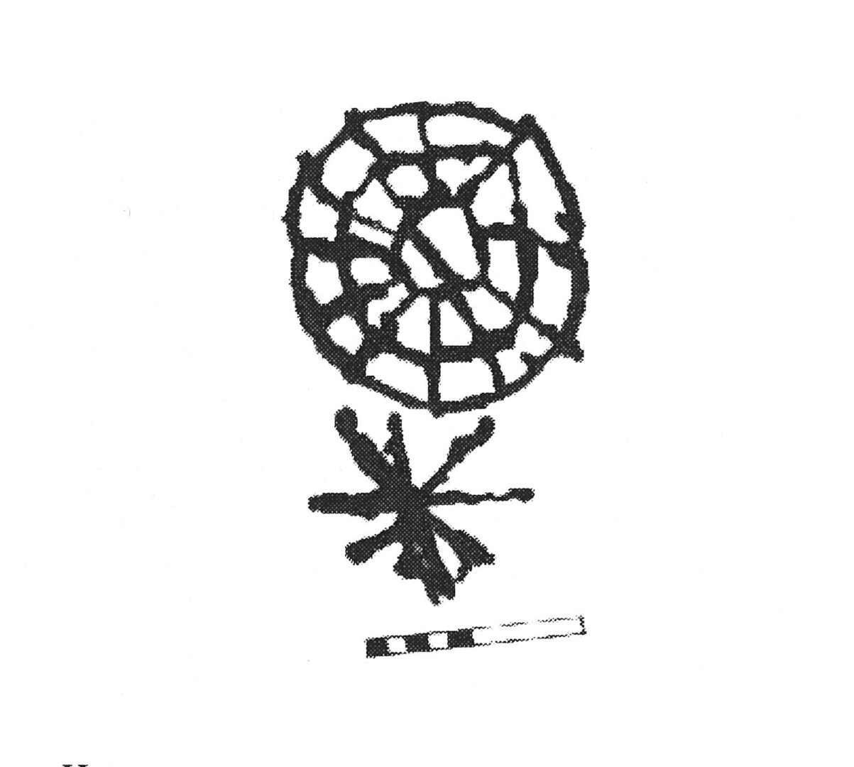 inscription of siglum AbaNS 177