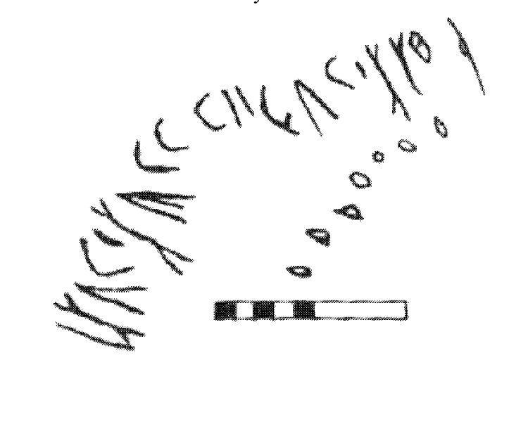 inscription of siglum AbaNS 299