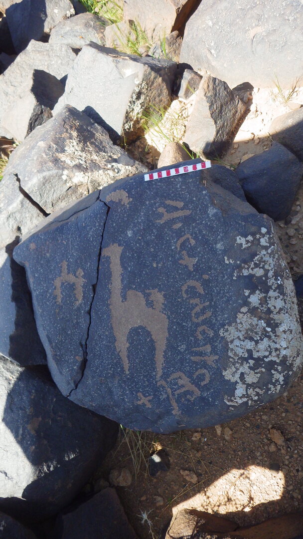 inscription of siglum AbaNS 495