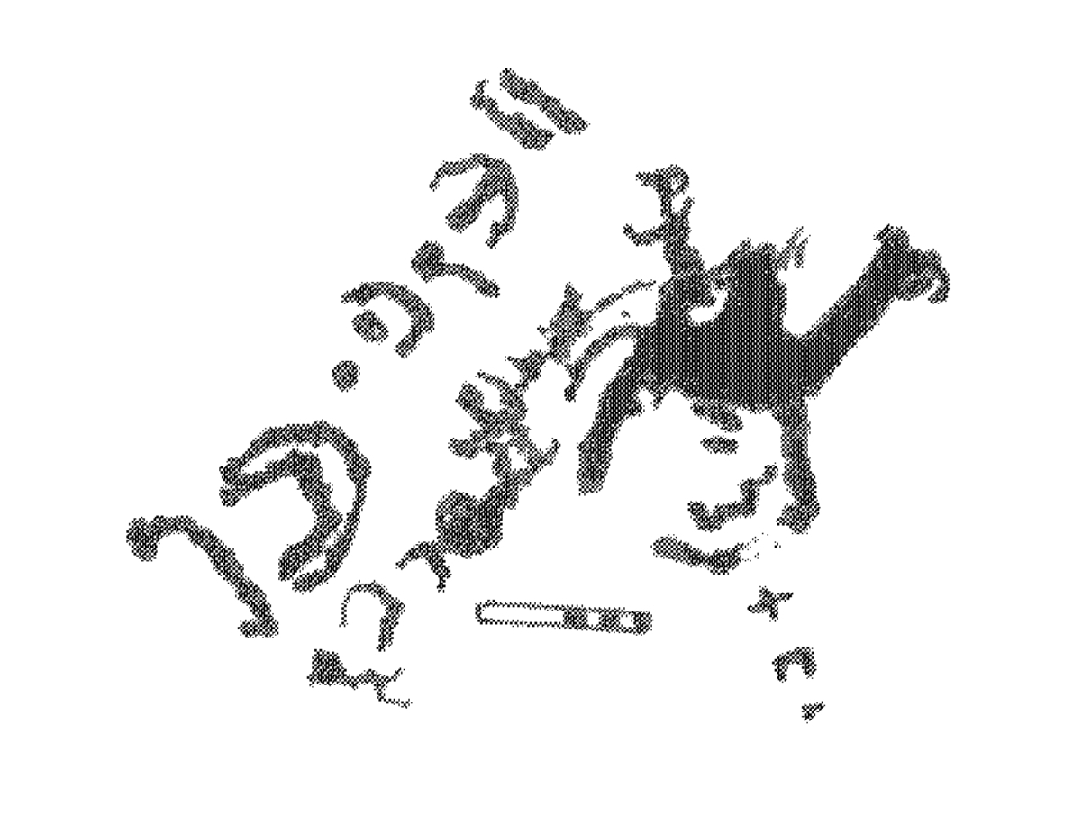 inscription of siglum AbaNS 525.1