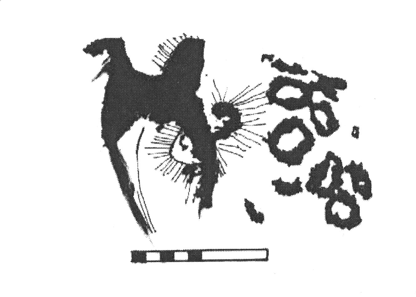 inscription of siglum AbaNS 806