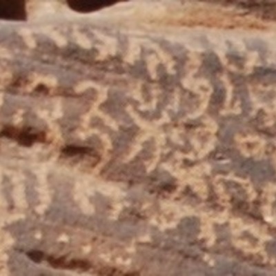 inscription of siglum Al-ʿUḏayb 006