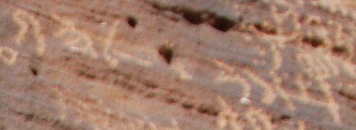 inscription of siglum Al-ʿUḏayb 007