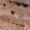 inscription of siglum Al-ʿUḏayb 007