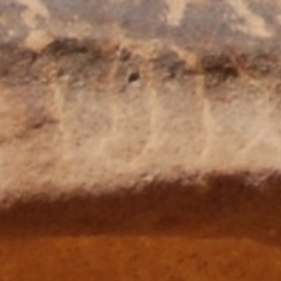 inscription of siglum Al-ʿUḏayb 013