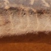 inscription of siglum Al-ʿUḏayb 013