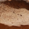 inscription of siglum Al-ʿUḏayb 015