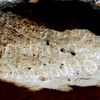 inscription of siglum Al-ʿUḏayb 015