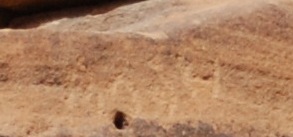 inscription of siglum Al-ʿUḏayb 017