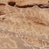 inscription of siglum Al-ʿUḏayb 018