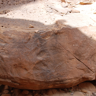 inscription of siglum Al-ʿUḏayb 055