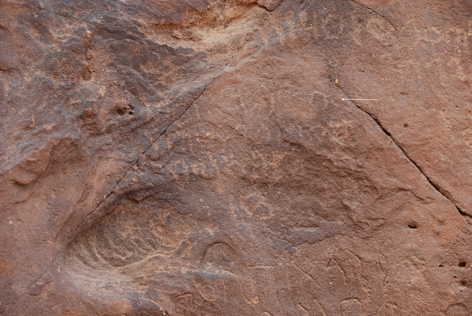inscription of siglum Al-ʿUḏayb 056