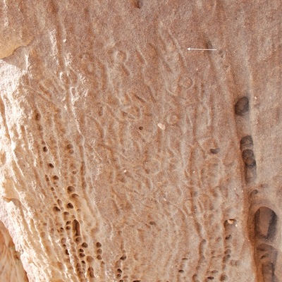 inscription of siglum Al-ʿUḏayb 060