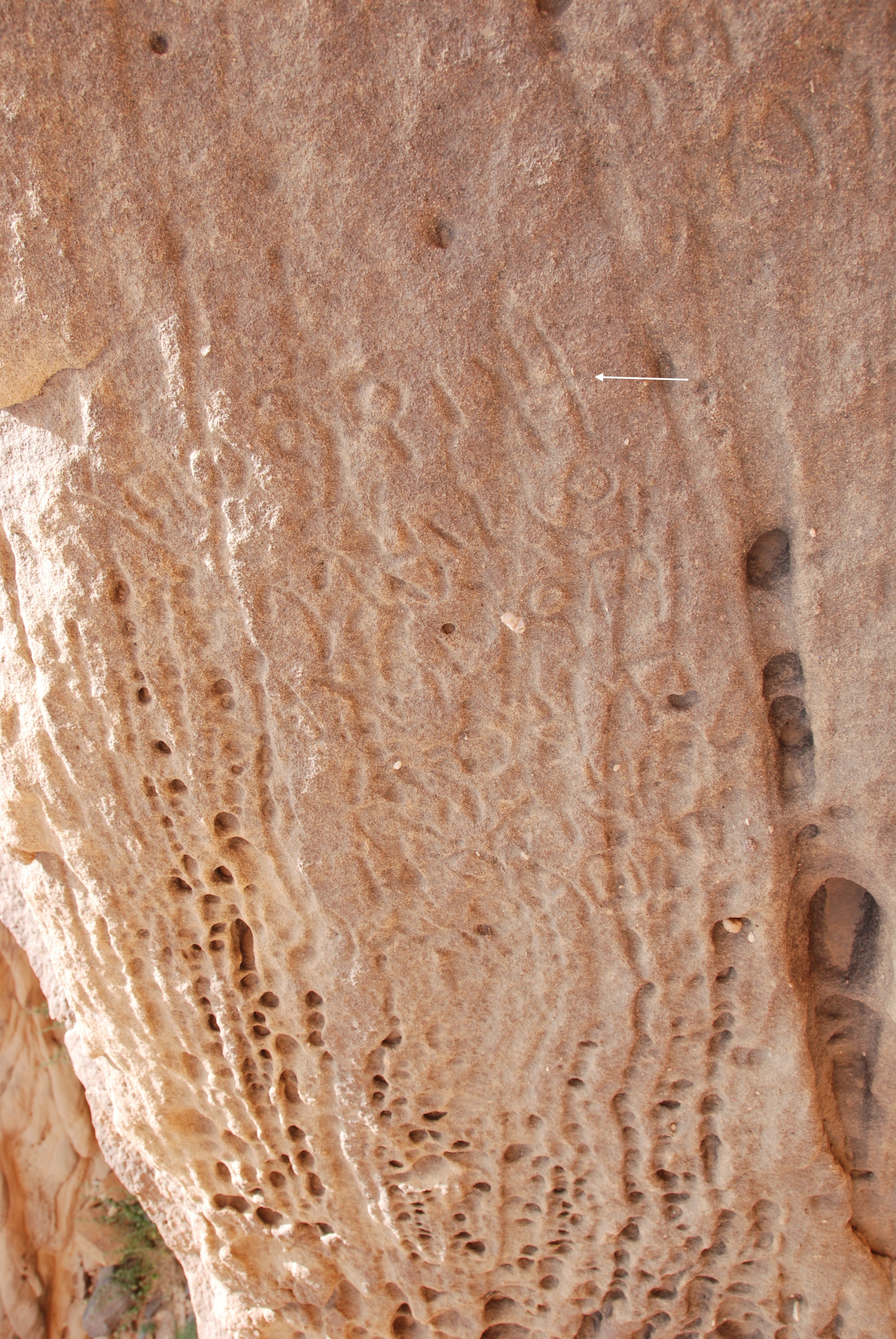 inscription of siglum Al-ʿUḏayb 060