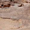 inscription of siglum Al-ʿUḏayb 110